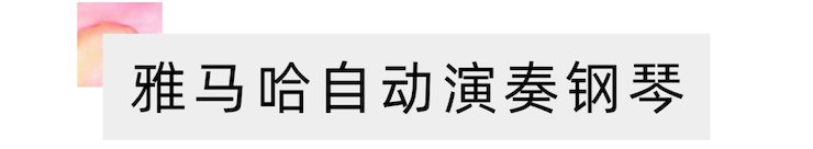 活动报道 | 远程艺术教育大师课活动—狗万教育家崔岚大师课